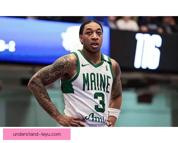 NBA凯尔特人王朝复兴之路与未来冠军蓝图解析底蕴与新星崛起