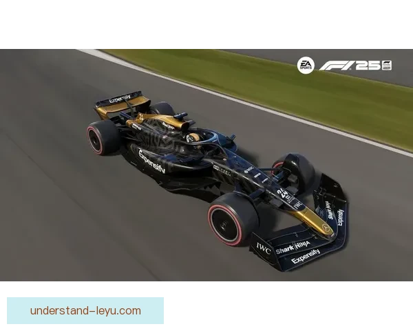 F1赛事最新动态：梅赛德斯车队突破性进展与红牛持续领先局势分析