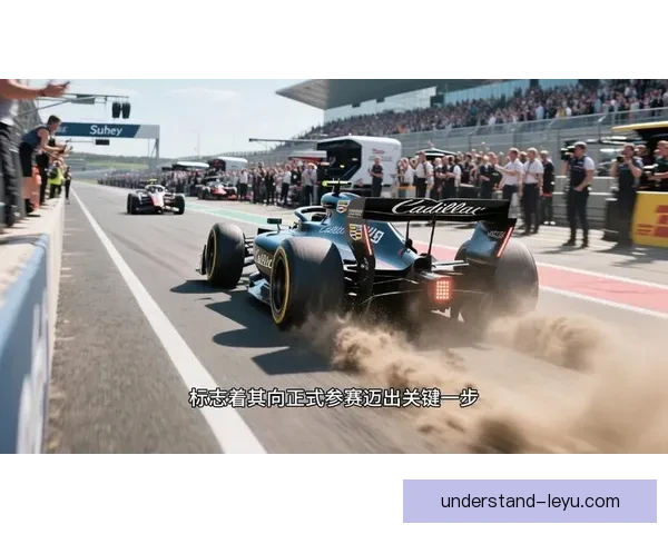F1赛季最新动态揭秘车队策略调整与车手表现分析